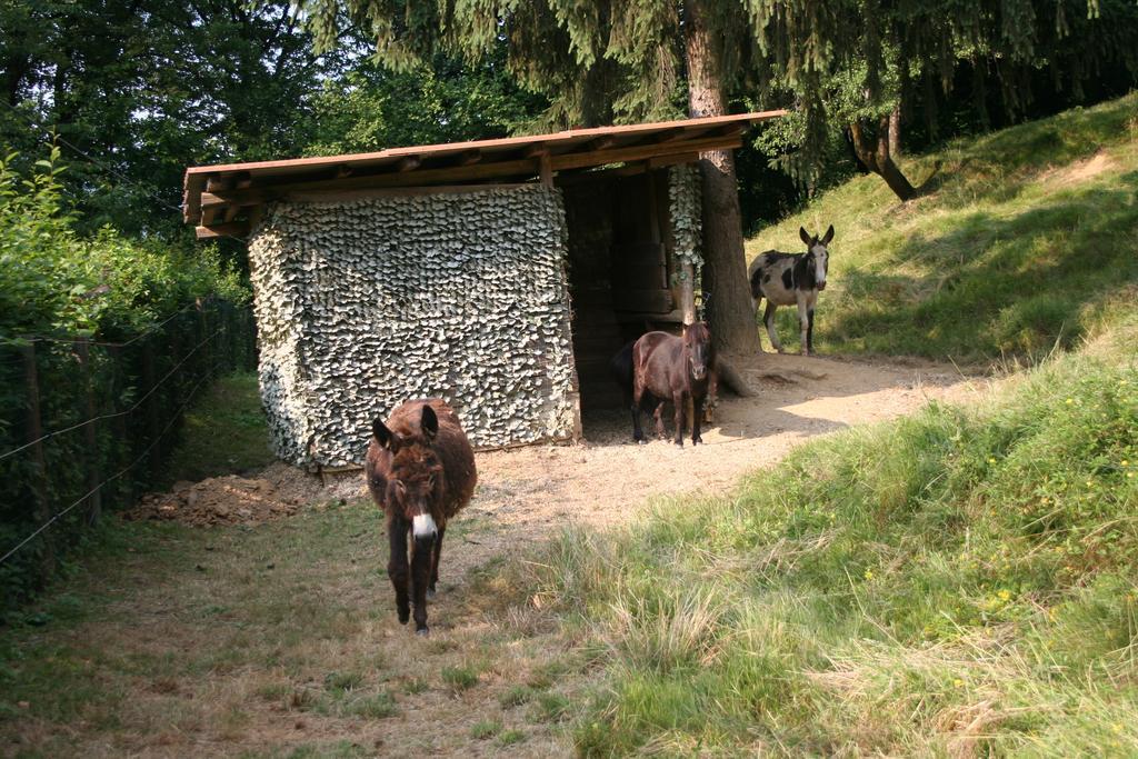 B&B La Casa Di Campagna Bérgamo Exterior foto